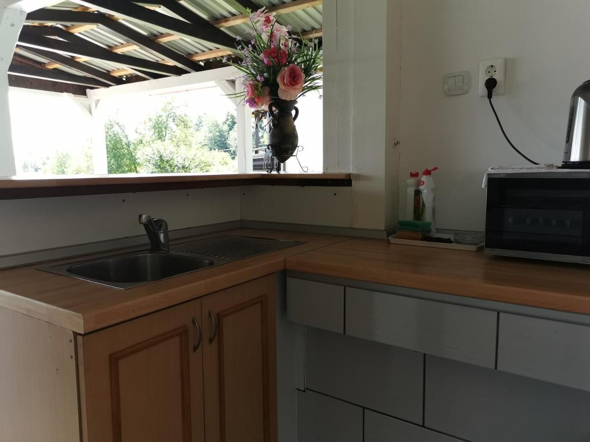 Apartments Tratincica Seliste Dreznicko Luaran gambar
