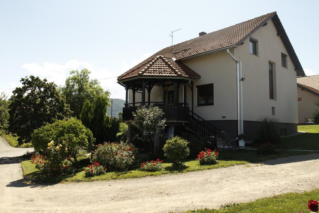 Apartments Tratincica Seliste Dreznicko Luaran gambar